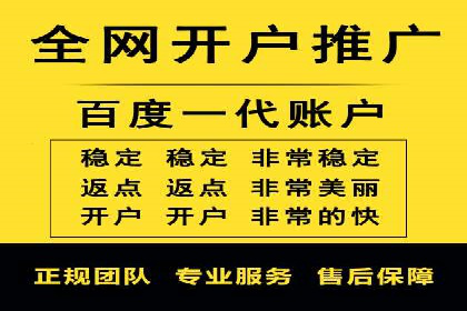 百度推广的广告投放策略案例